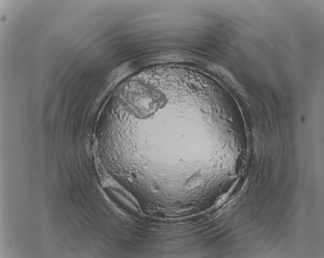 X0000076431225200610271725