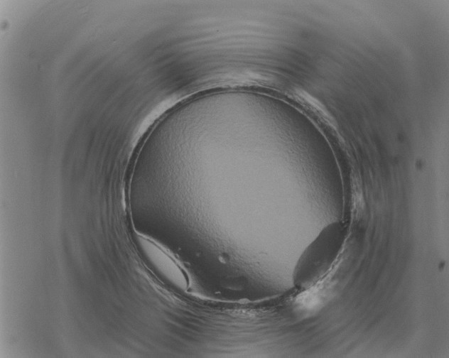 X0000076431226200610271725