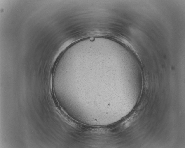 X0000076431227200610271725