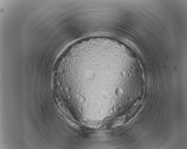 X0000076431228200610271725