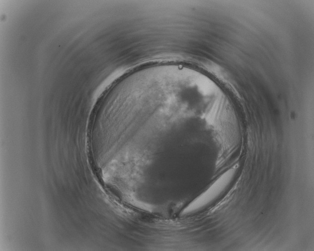 X0000076431229200610271725