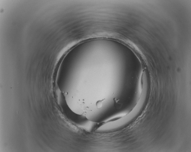 X0000076431230200610271725