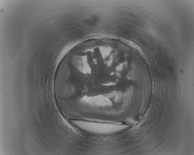 X0000076431231200610271725