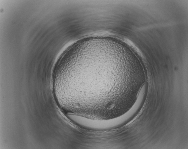 X0000076431232200610271725