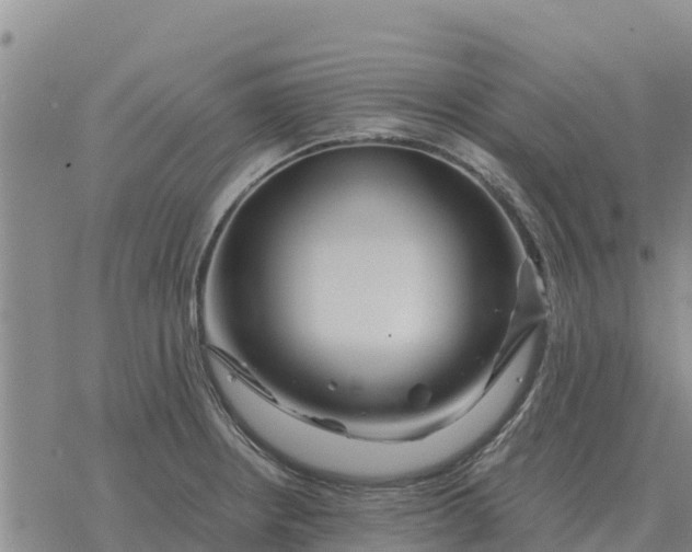 X0000076431234200610271725