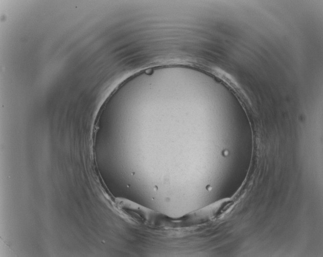 X0000076431236200610271725