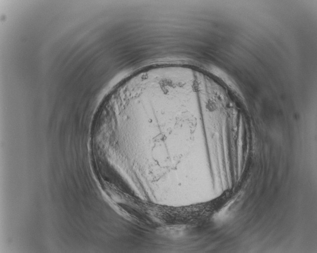 X0000076431237200610271725