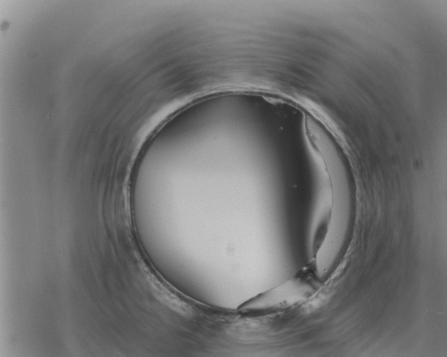 X0000076431238200610271725