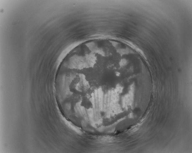 X0000076431239200610271725