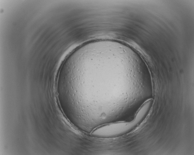 X0000076431240200610271725