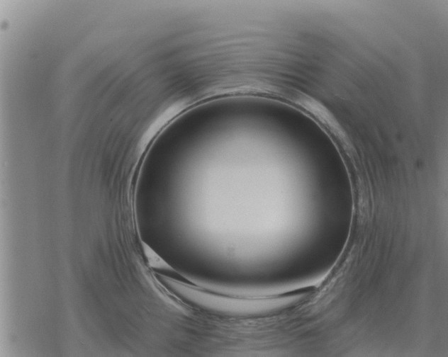 X0000076431242200610271725