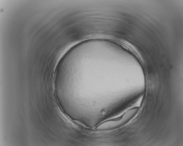 X0000076431244200610271725