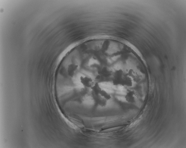 X0000076431245200610271725