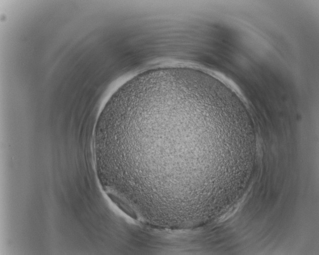 X0000076431247200610271725