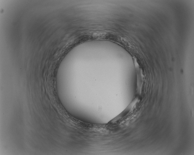 X0000076431249200610271724