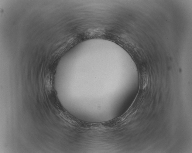 X0000076431250200610271724