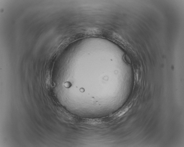 X0000076431251200610271724