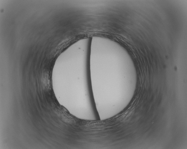 X0000076431252200610271724