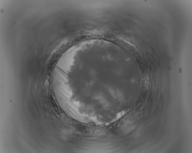 X0000076431254200610271724