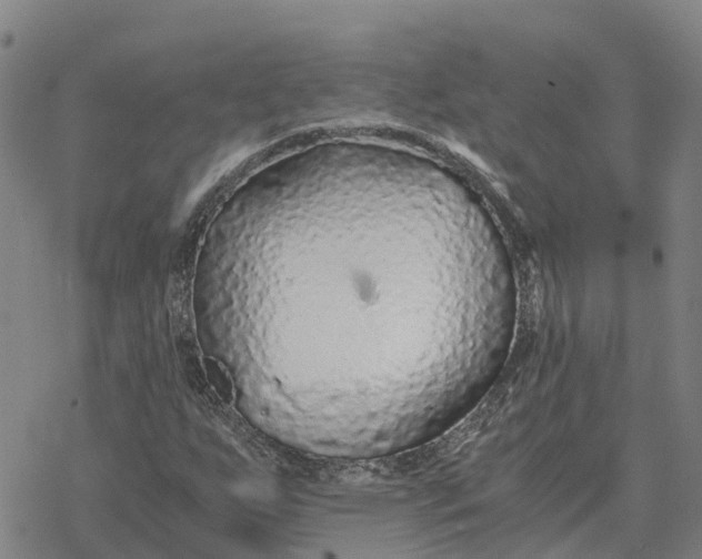 X0000076431255200610271724