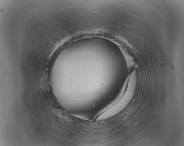 X0000076431256200610271724