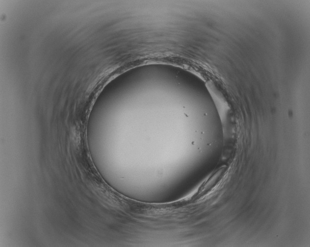 X0000076431257200610271724