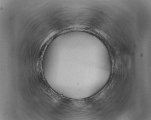 X0000076431258200610271724