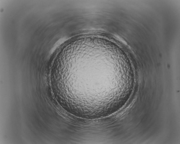 X0000076431259200610271724