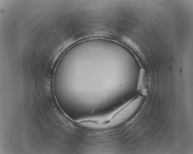 X0000076431260200610271724