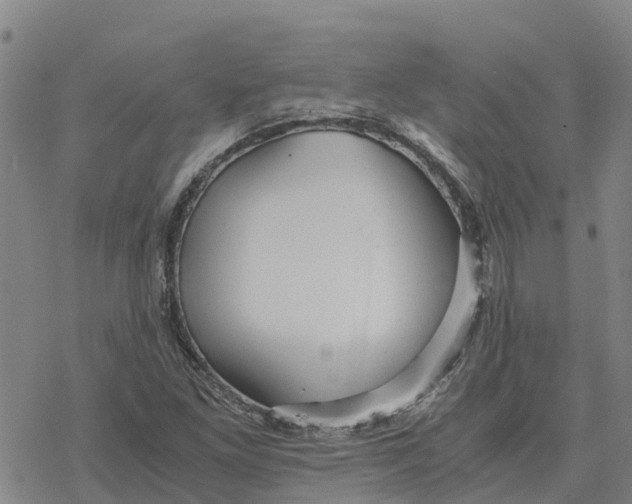 X0000076431261200610271724