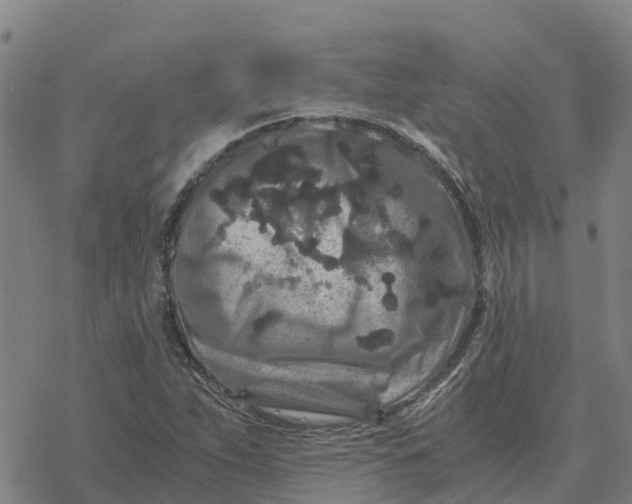 X0000076431263200610271724