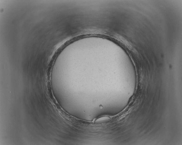 X0000076431264200610271724