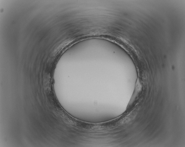 X0000076431265200610271724