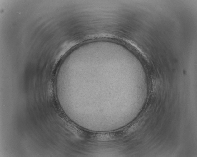 X0000076431266200610271724