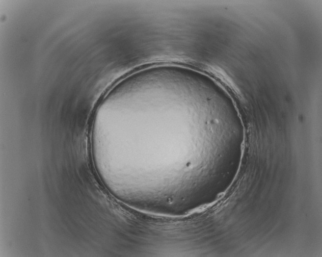 X0000076431268200610271724