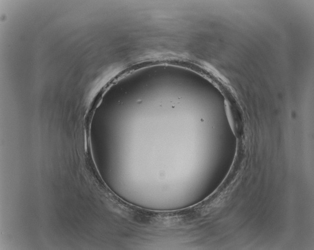 X0000076431269200610271724