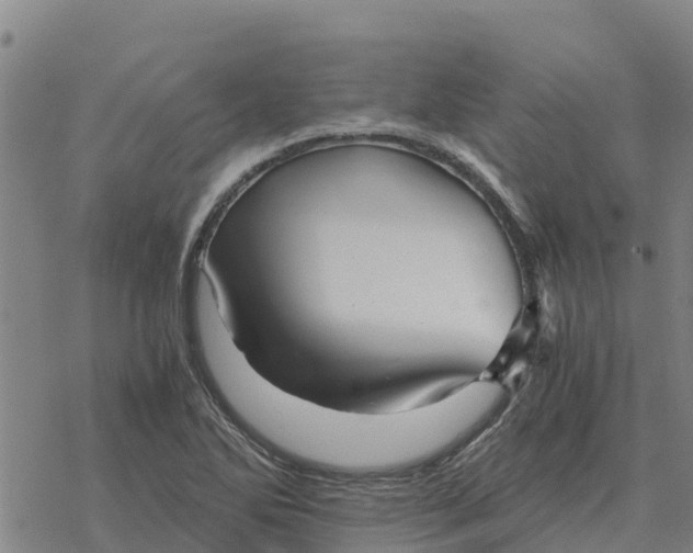 X0000076431270200610271724