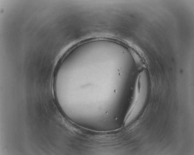 X0000076431272200610271724