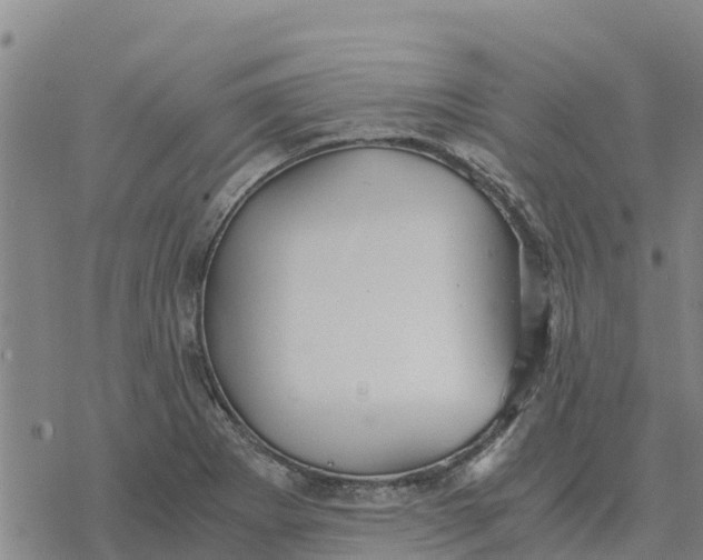 X0000076431273200610271724