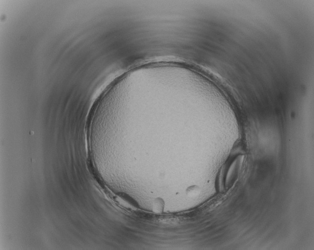 X0000076431274200610271724