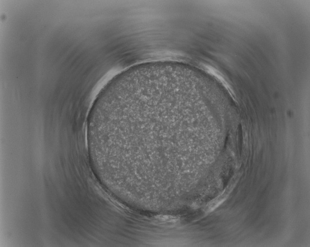 X0000076431275200610271724