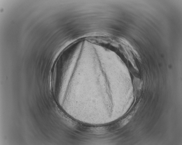 X0000076431276200610271724