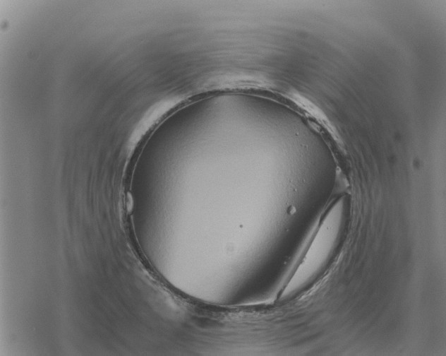 X0000076431277200610271724