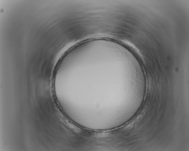 X0000076431278200610271724