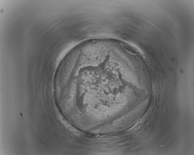 X0000076431279200610271724