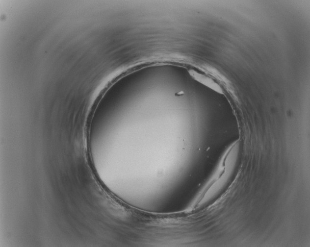 X0000076431280200610271724