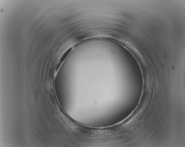 X0000076431281200610271724