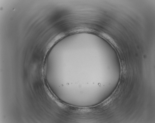 X0000076431282200610271724