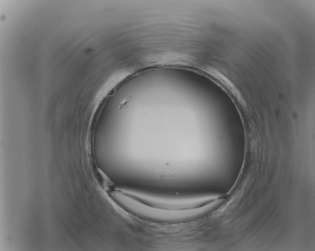 X0000076431285200610271724