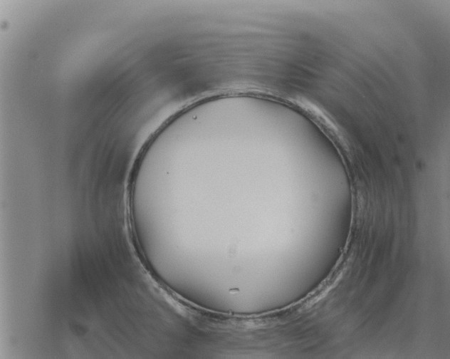 X0000076431286200610271724